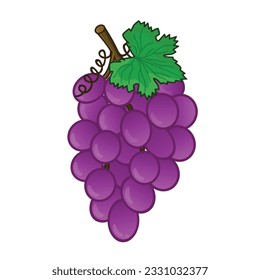 Grape. grape vector. grapes vector icon cartoon. fresh grapes. fresh purple grape with leaf