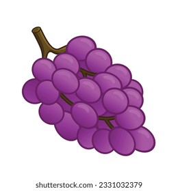 Grape. grape vector. grapes vector icon cartoon. fresh grapes. fresh purple grape with leaf