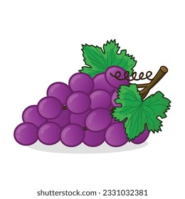 Grape. grape vector. grapes vector icon cartoon. fresh grapes. fresh purple grape with leaf