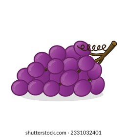 Grape. grape vector. grapes vector icon cartoon. fresh grapes. fresh purple grape with leaf
