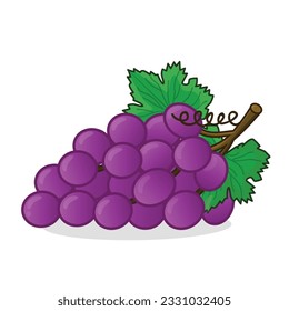 Uva. vector de uva. caricatura de iconos vectoriales de uvas. uvas frescas. uva violeta fresca con hoja