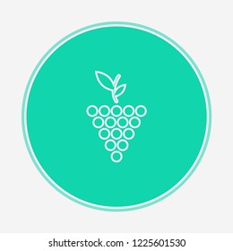 Grape vector icon sign symbol