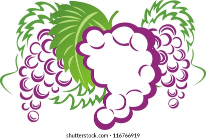 Grape vector illustration
