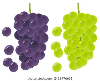 Grape vector illustration autumn taste