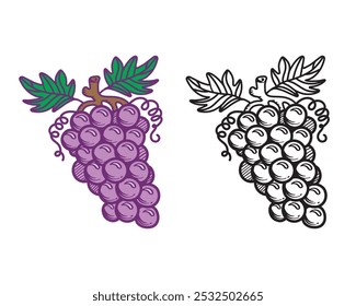 Ilustração de vetor de uva, Imagem de conjunto de uvas, Vetor de frutas de uva decorativo, desenho de uva preto e branco clip art vetor.