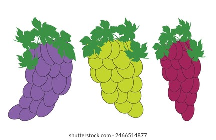 Grape Vector And Illustration Bundle. 