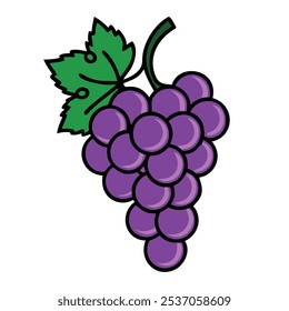grape vector illustration, fruit vector art