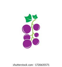 grape vector illustration icon design