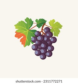 Ilustración vectorial de uva aislada en blanco