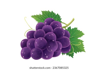 Ilustración vectorial de uva aislada en fondo blanco.	