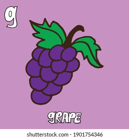 grape vector illustration on purple background. grape-hand drawn lettering. G-alphabet, english for kids. grape with branch and green leaf. hand drawn vector. doodle fruit for education, card, poster.