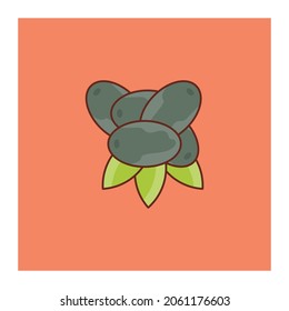 ilustración del vector de uva en un fondo transparente. Símbolos de calidad superior.Icono de color plano de línea vectorial para el concepto y el diseño gráfico.