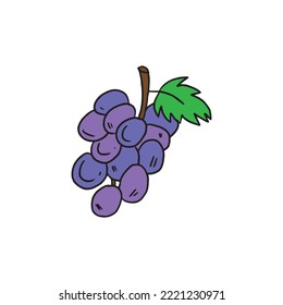 Ilustración vectorial de uva sobre fondo blanco. Adecuado para el diseño de contenido de alimentos, frutas y verduras