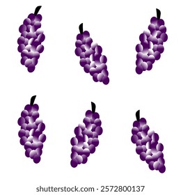 grape vector illustration on white background.