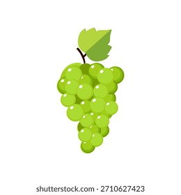 Ilustração do vetor da uva no fundo branco. Gráfico de vetor de uva verde. Ideal para gráficos de alimentos, embalagens, rótulos, menus, marcas, temas agrícolas, projetos botânicos e arte digital