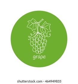 Grape vector illustration. Grape outline icon.