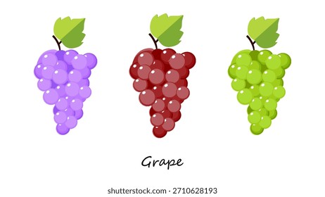 Conjunto de Ilustración vectorial de uva. Gráfico de Vector de racimo de uva púrpura, roja y verde. Ideal para gráficos de alimentos, empaques, etiquetas, menús, marcas, temas agrícolas, proyectos botánicos y obras de arte digitales