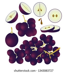 Grape vector illustration set. Whole, sliced and halved Grape graphics.