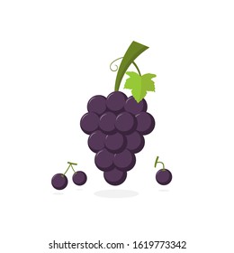 Grape Vector Illustration in Trendy Style