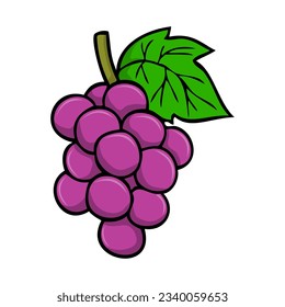ilustración vectorial de uva, aislada en fondo blanco, vista superior