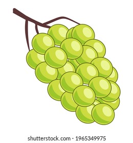 Grape Vector, Perfect for illustration, logo, design, pattern, Etc