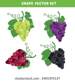 Grape vector set. White grape, red grape and black grape clip art. Organic fruit. Farming. Harvest festival. Flat vector isolated on white background.
