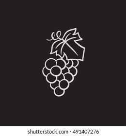 Grape vector sketch icon isolated on background. Hand drawn Grape icon. Grape sketch icon for infographic, website or app. Grape vector sketch icon isolated on background. Hand drawn Grape icon. Grape sketch icon for infographic, website or app.