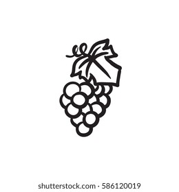 Icono de esbozo del vector de uva aislado en el fondo. Icono de la uva dibujado a mano. Icono de boceto de uva para infografía, sitio web o aplicación.