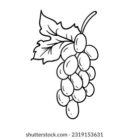 Grape vector. It is suitable for fruits icon, sign or symbol.