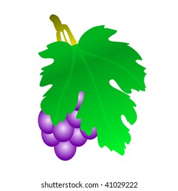 Grape, vector version