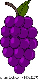 Grape vectors are perfect for completing your design illustrations, and are perfect for education