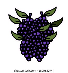 grape with a vibrant green leaf in thin black outline. Perfect for food-related projects, this detailed vector artwork can enhance designs, menus, or branding for organic produce or wineries