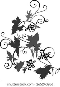 Grape vine