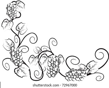 Grape vine background with copy space