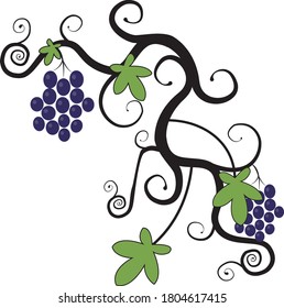 Ramas de vid de uva adornadas icono vectorial de color 