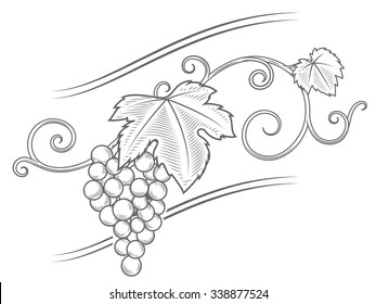 Grape vine branches ornament vector illustration. Engraving style. Brown color