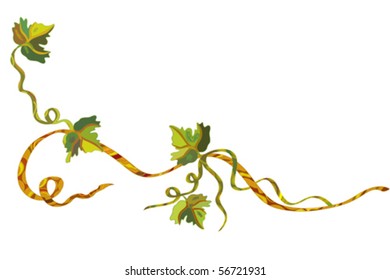 Grape vine bright vector