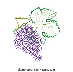Grape vine cluster with purple blue grapes and green leaves. Abstract artistic graphic element design or drawing, watercolor painting style vector illustration.
