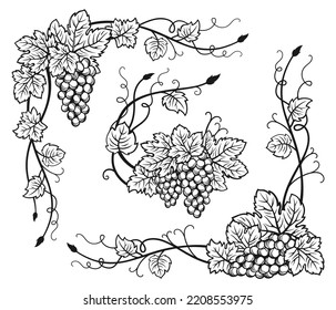 Grape vine corner bunches sketch set. Hand drawn vintage wine grapes border, berry ink frame. Decorative elements antique engraving design. Sketches for wine packing, menu, invitation card, poster