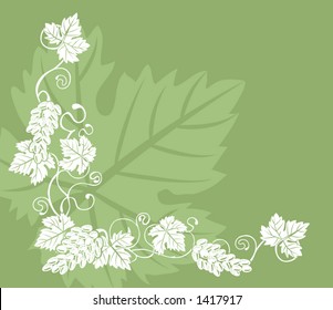 grape vine design element