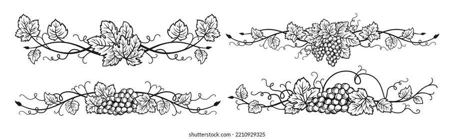 Grape vine divider bunches sketch ink set. Vintage hand drawn wine decorations border, floral grapes berry frame. Decorative elements antique vineyard ornament for packing vector design