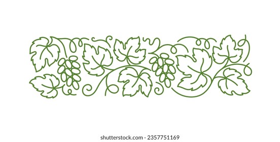 Grape vine floral ornament. Grape branches and leaves. Editable outline stroke. Vector line.