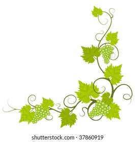 Grape vine frame. Vector illustration.