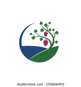 grape vine fruit plant in the hill vector logo design illustration template