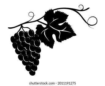 Grape with vine, grapevine leaf, symbol, vector, illustration, in black and white color, isolated on white background