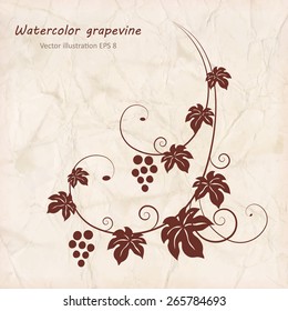 Grape vine with grunge paper texture background. Vector illustration.