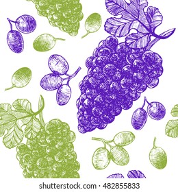Grape vine Hand Draw Sketch. Vintage Style Food Design Background with grapes and leaves Pattern. Vector illustration of vines