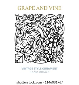 Grape and vine. Hand drawn grape and vine engraving style illustrations set. Bunch of grapes vector design element. Grape and vine logo and background. Wine theme grape and vine vintage style ornament