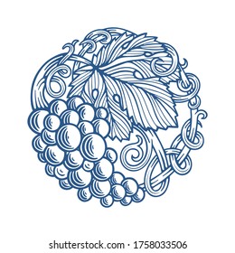 Grape and vine hand drawn vector illustration. Grapevine engraving style drawing. Part of set.