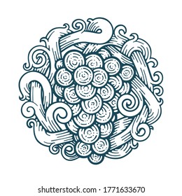 Grape and vine hand drawn vector illustration. Grapevine engraving style drawing. Part of set.